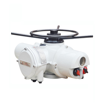 Adjustable intelligent electrical actuator - multi-turn