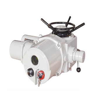 electric valve actuator - Multi-turn